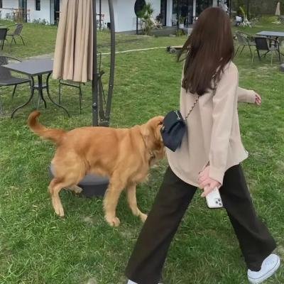 交响狂人